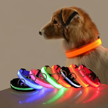 LED Dog Collar - Nylon Glow in the Dark Safety Flashing Pet Accessories